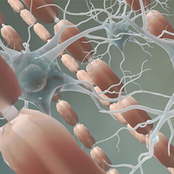 Detailaufnahme von Neuronen und Synapsen im menschlichen Nervensystem